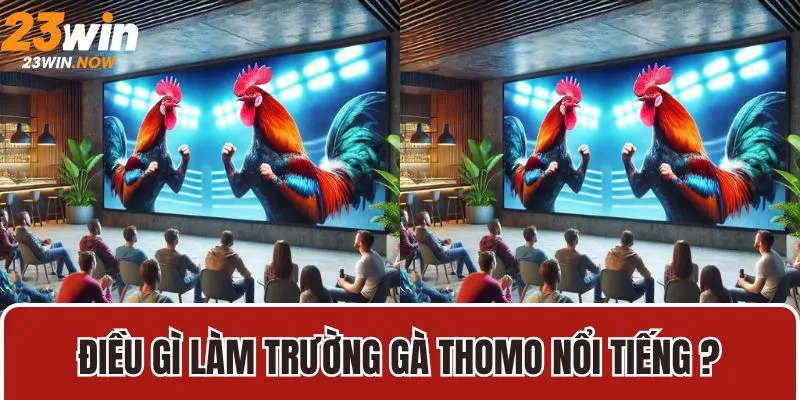 Luật Đá Gà Thomo | Hướng Dẫn Chi Tiết Nhất Từ Sân Chơi 23Win 10 Điều gì làm trường gà thomo nổi tiếng ?
